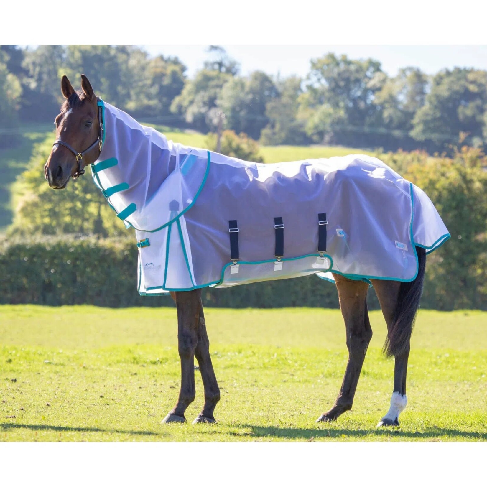 Shires Equestrian Inc Highlander Fine Mesh Fly Sheet Set