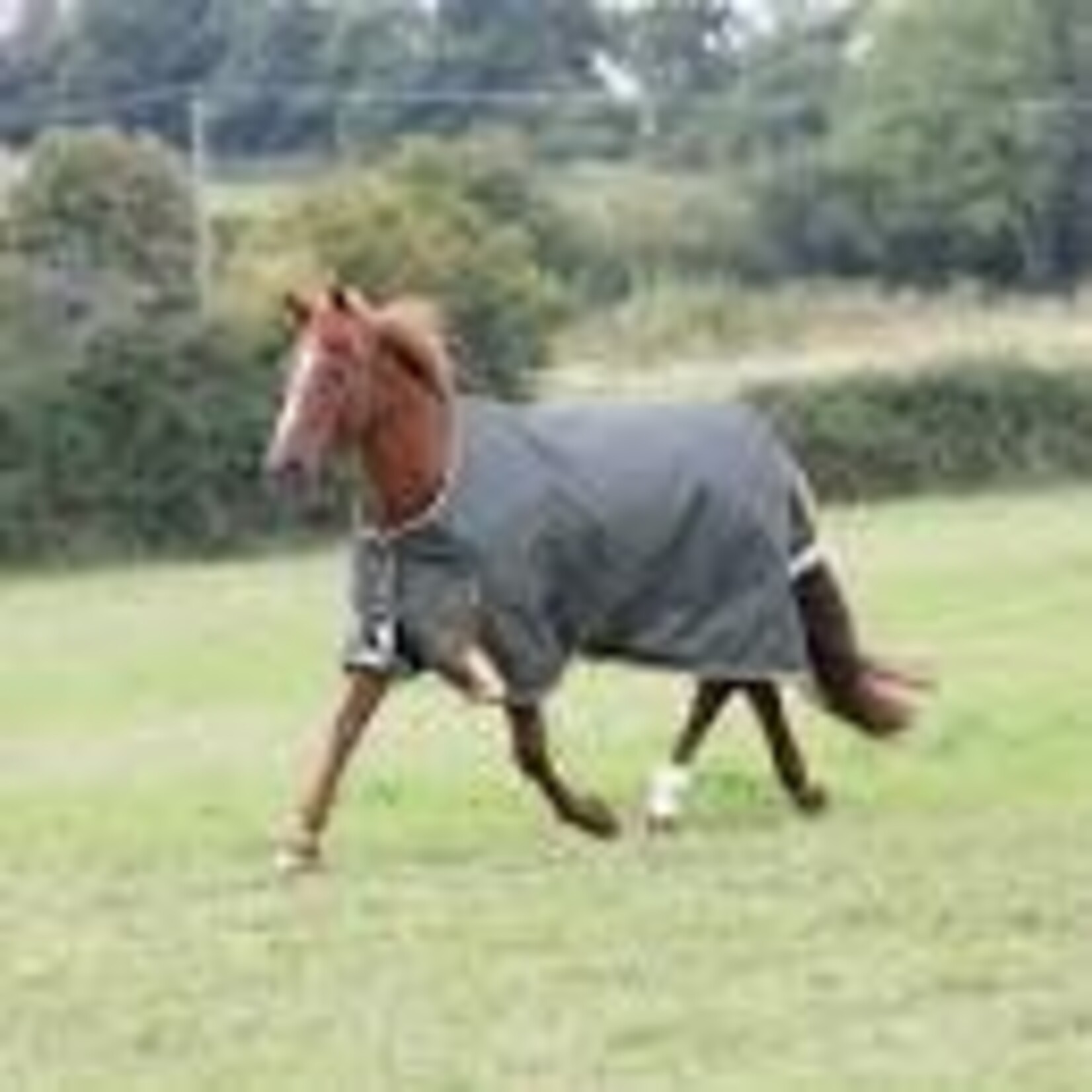 Shires Equestrian Highlander Plus Lite
