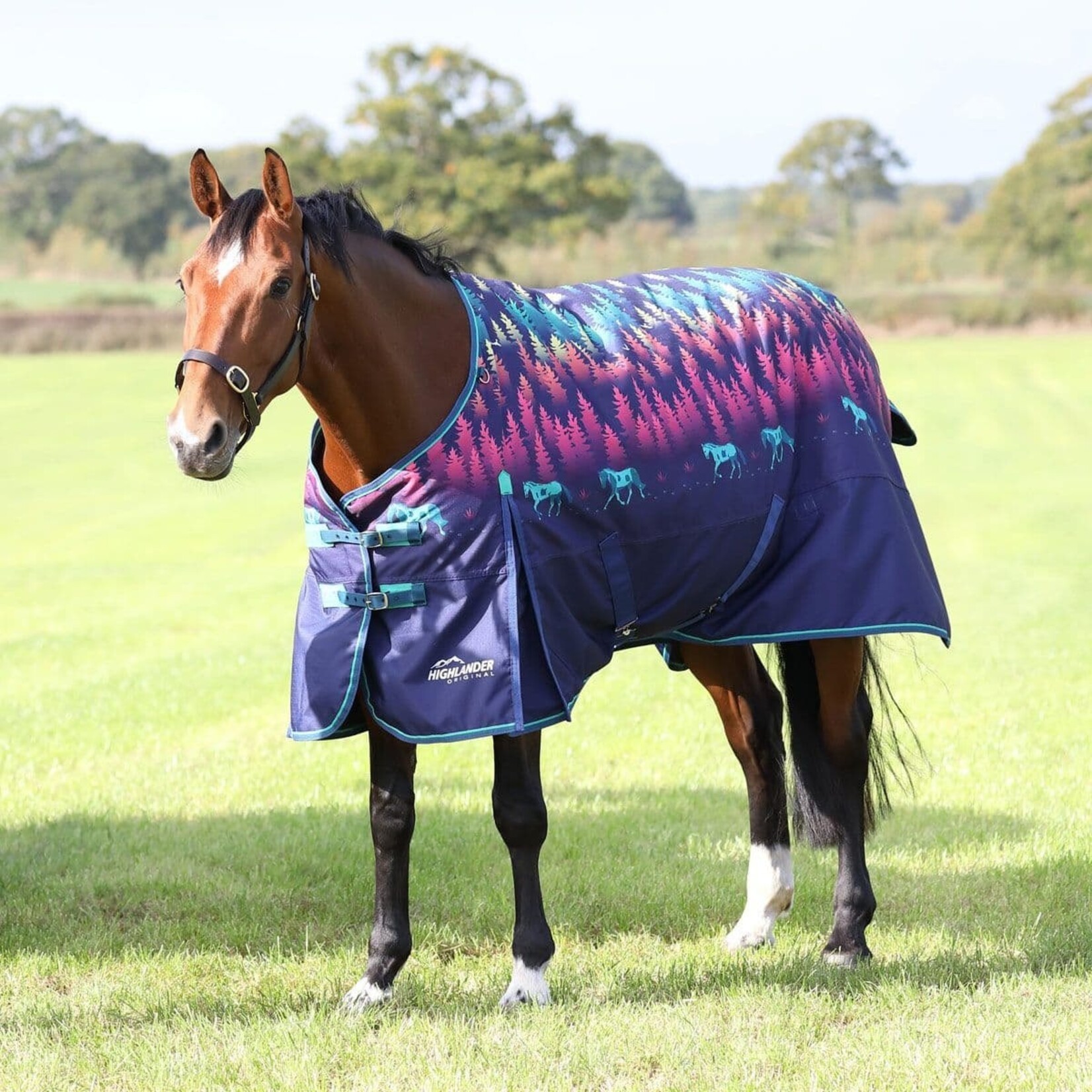 Shires Equestrian Tempest Original Lite Turnout