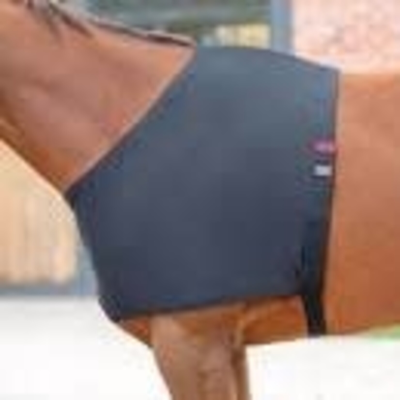 Shires Equestrian Anti-Rub  Vest