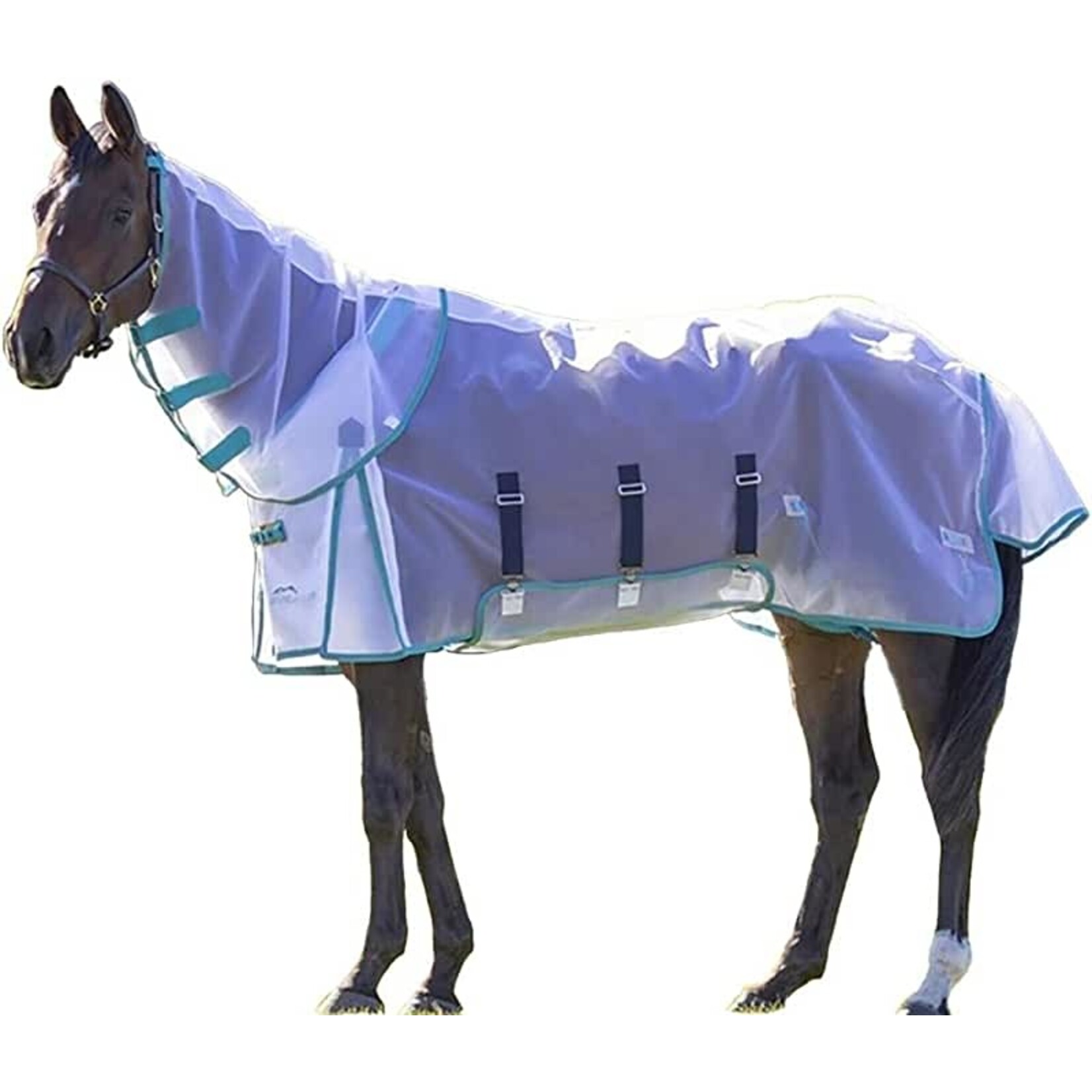 Shires Equestrian Highlander Fine Mesh Fly Sheet Set