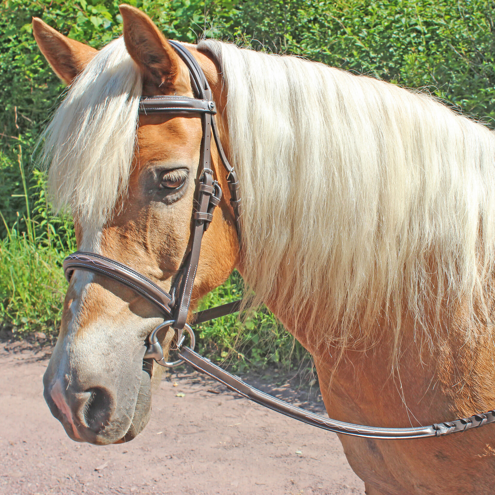 GT Reid Show Bridle with Comfort Crown