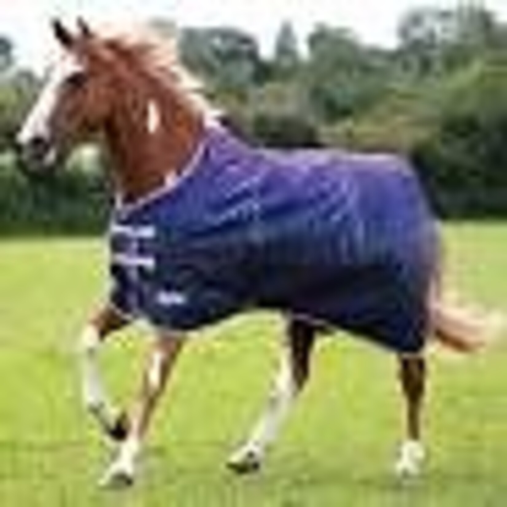 Shires Equestrian Tempest Original Lite Turnout