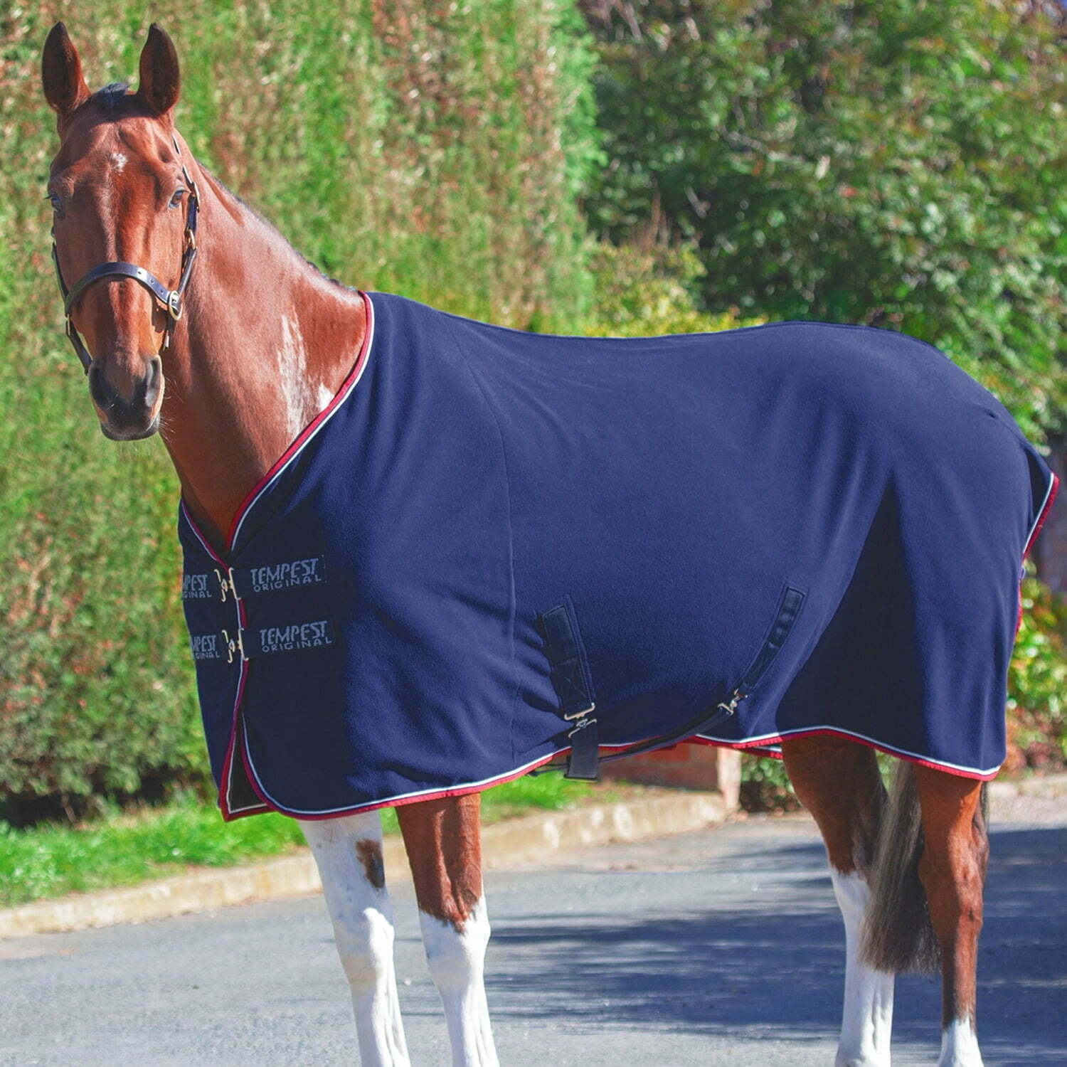 Navigating the Seasons: A Guide to Seasonally Blanketing Your Horse