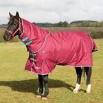 Shires Equestrian Stormcheeta 300 Set