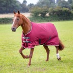 Shires Equestrian Highlander Plus 100 Standard Neck