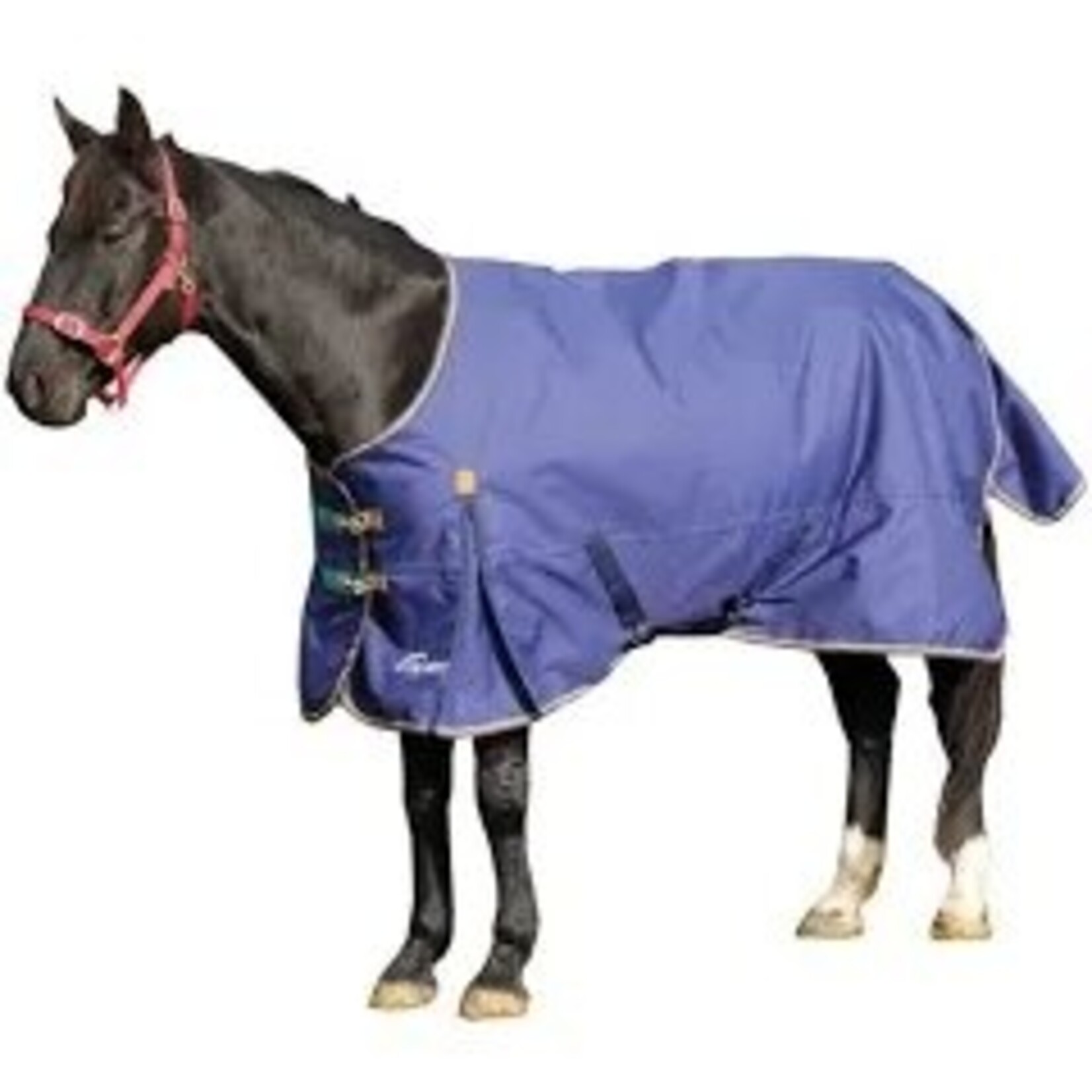 Shires Equestrian Highlander Plus 100 Standard Neck