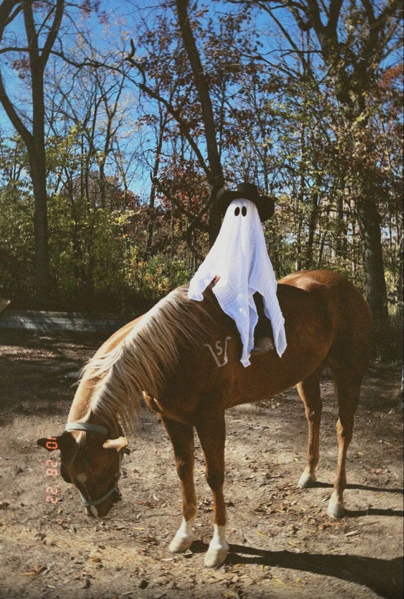 Spooktacular Horse Halloween: Riding into the Night