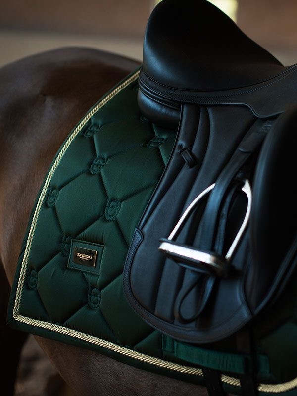  Saddle Up for Seasonal Style: Elevating Your Horse's Holiday Look