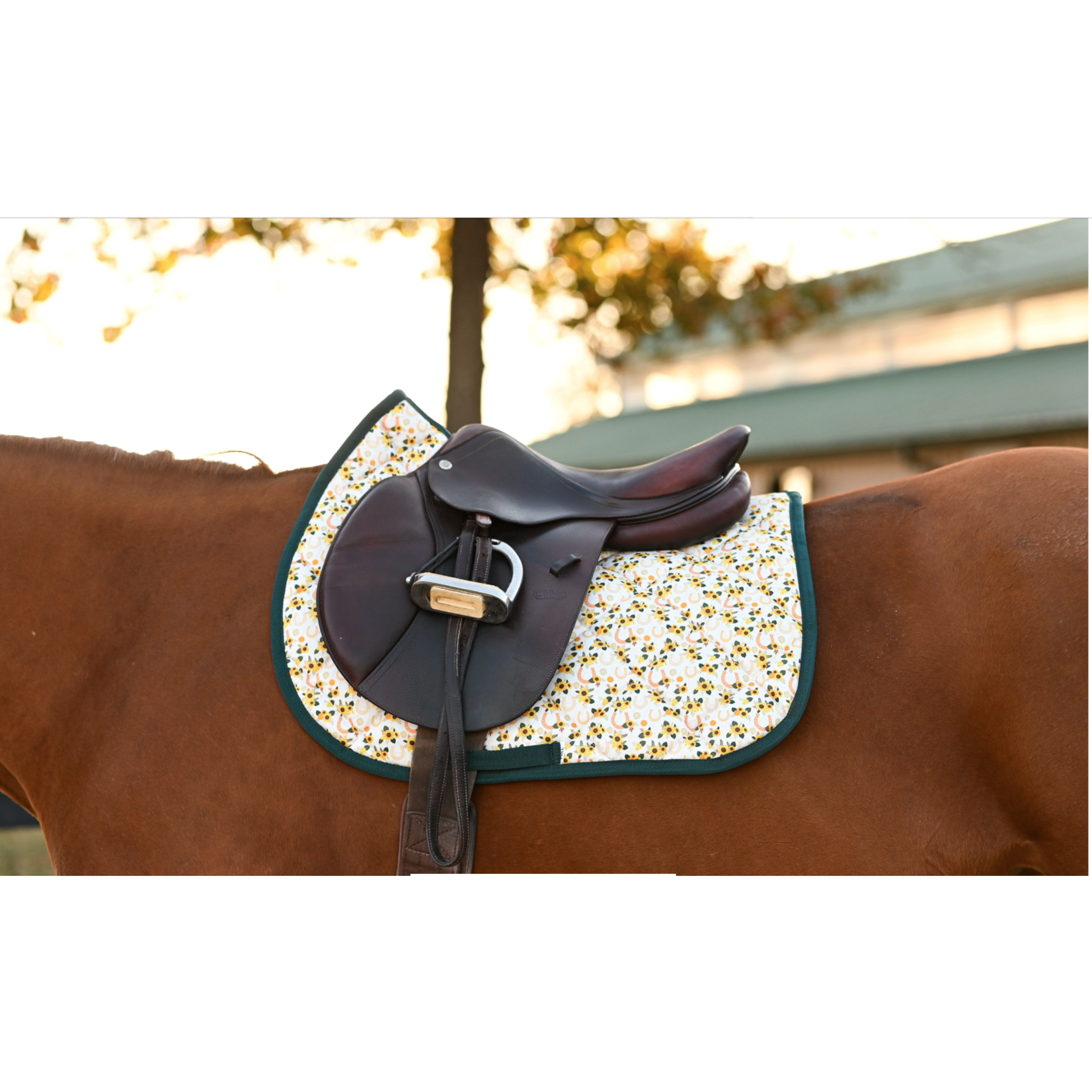 Dreamers & Schemers Dreamers & Schemers Saddle Pad