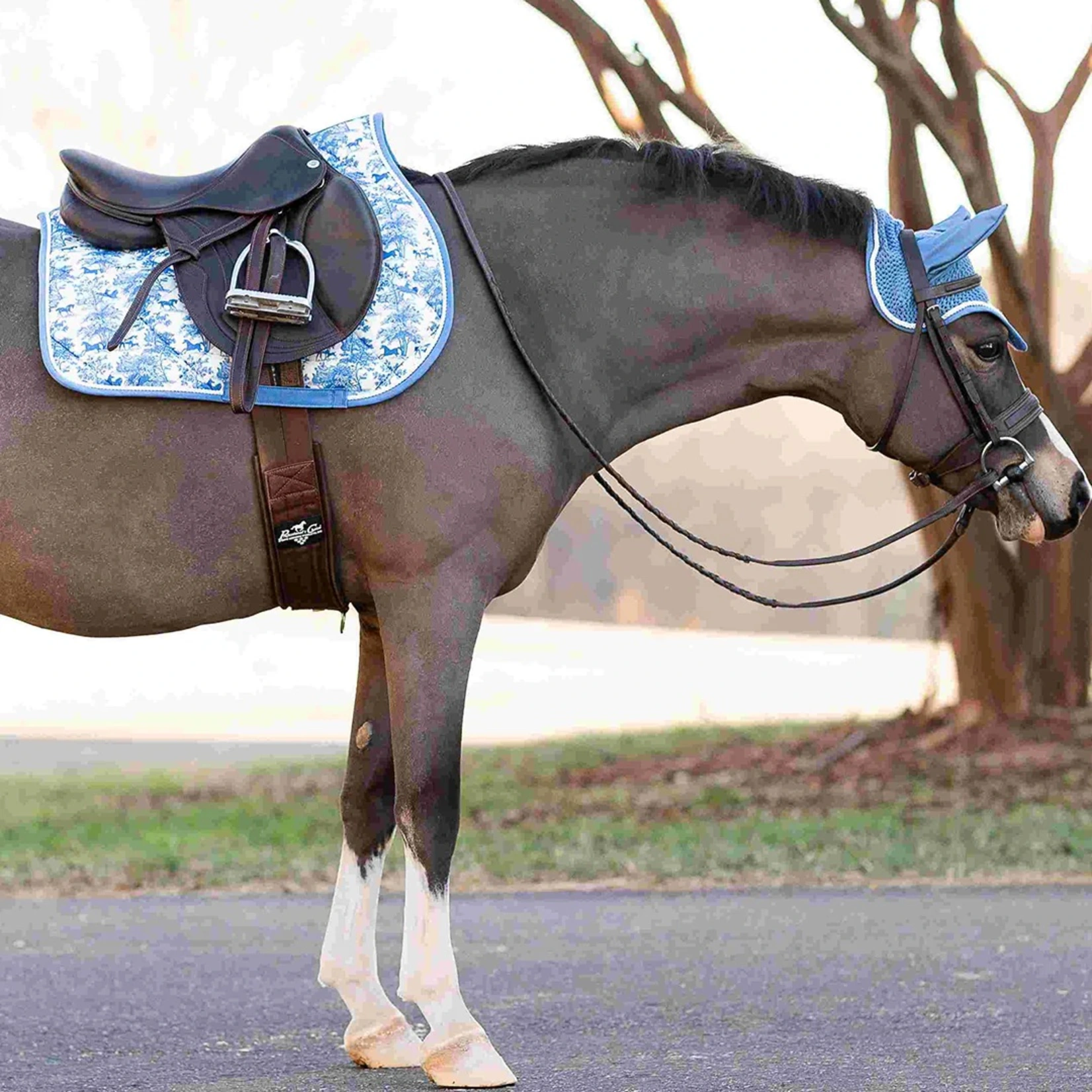 Dapplebay Equestrian Toile Fly Veil