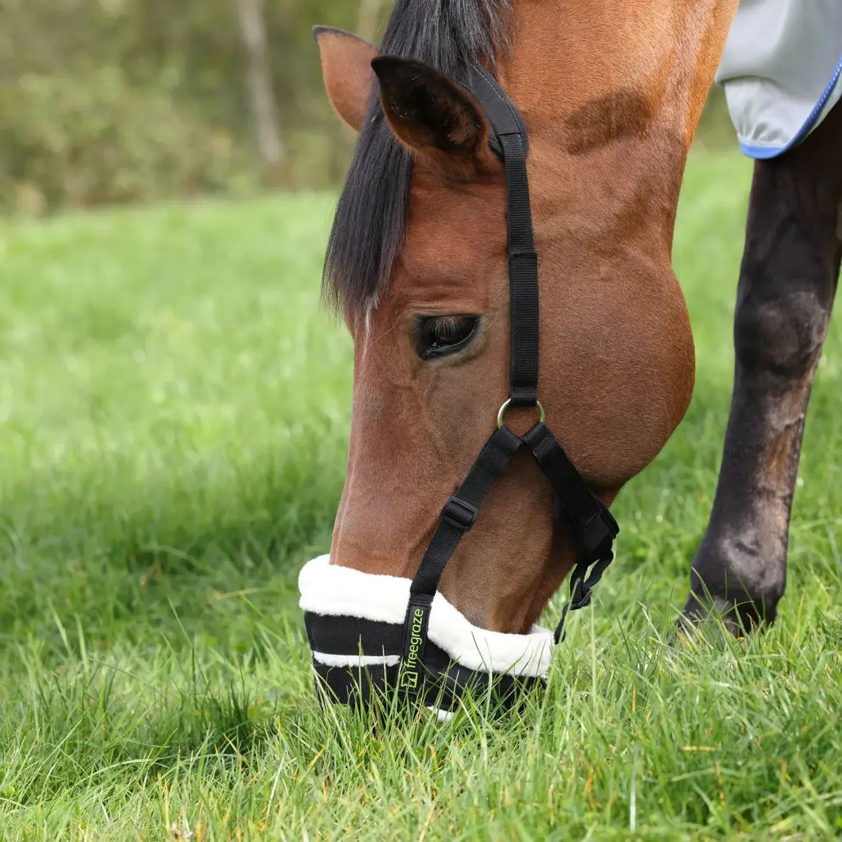 Shires Equestrian FreeGraze AirFlow Grazing Muzzle