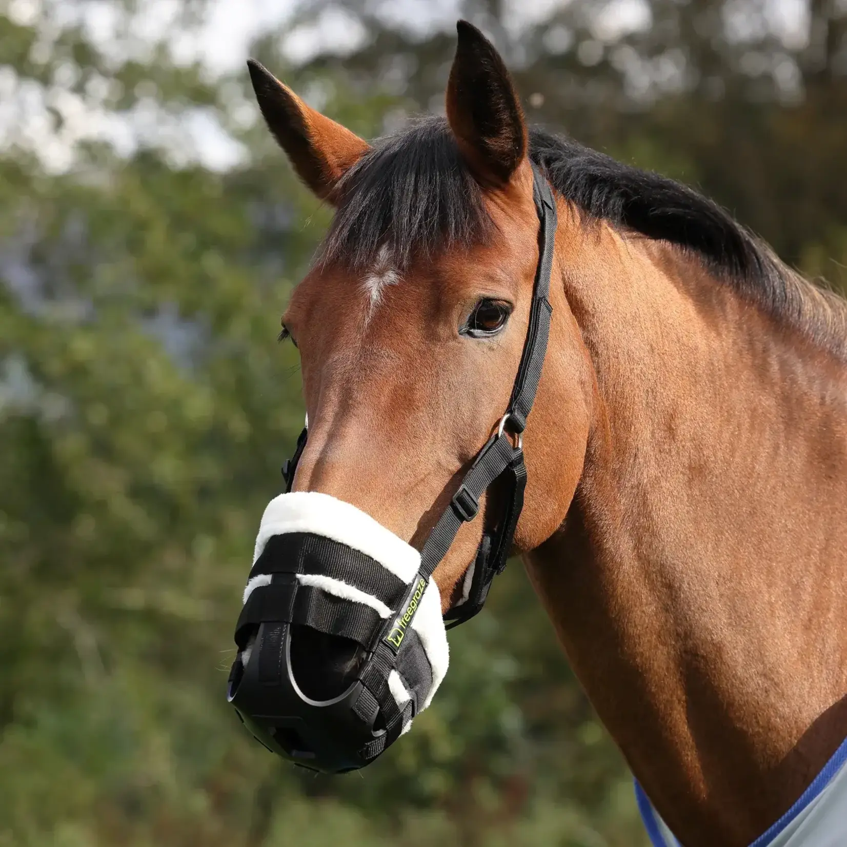 Shires Equestrian FreeGraze AirFlow Grazing Muzzle