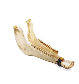 Jamtown Jamtown Jaw Bone Rattle