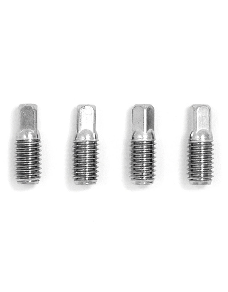 Stainless Steel Key Screws