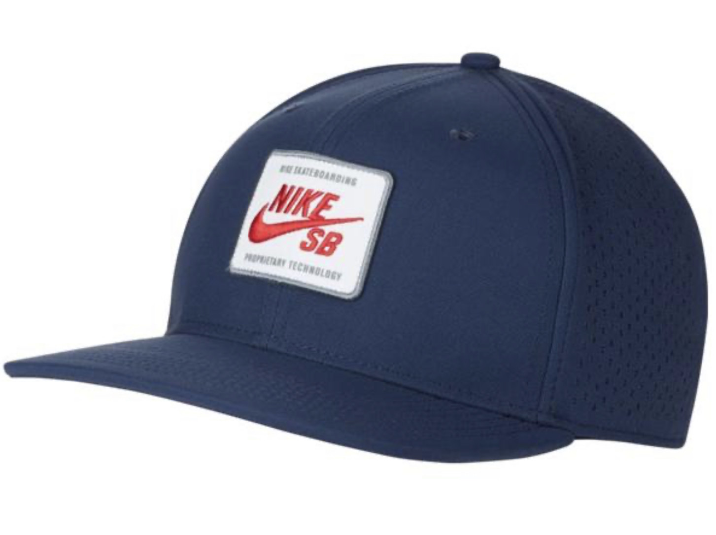 nike sb pro cap