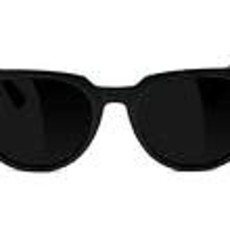 Glassy Glassy - Lox Premium Polarized Black