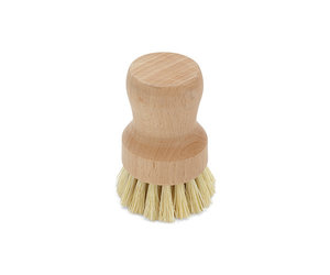 Coconut Bristle Mini Scrub Brush