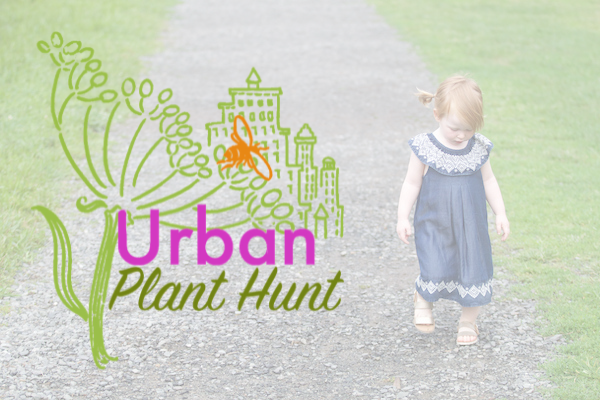 Urban Plant Hunt #2: Enos Jones Park