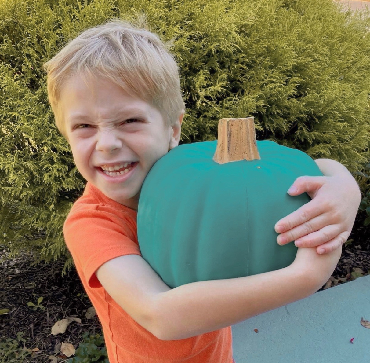 Don't Forget about The Teal Pumpkin Project for Halloween!