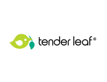 Tender Leaf Toys