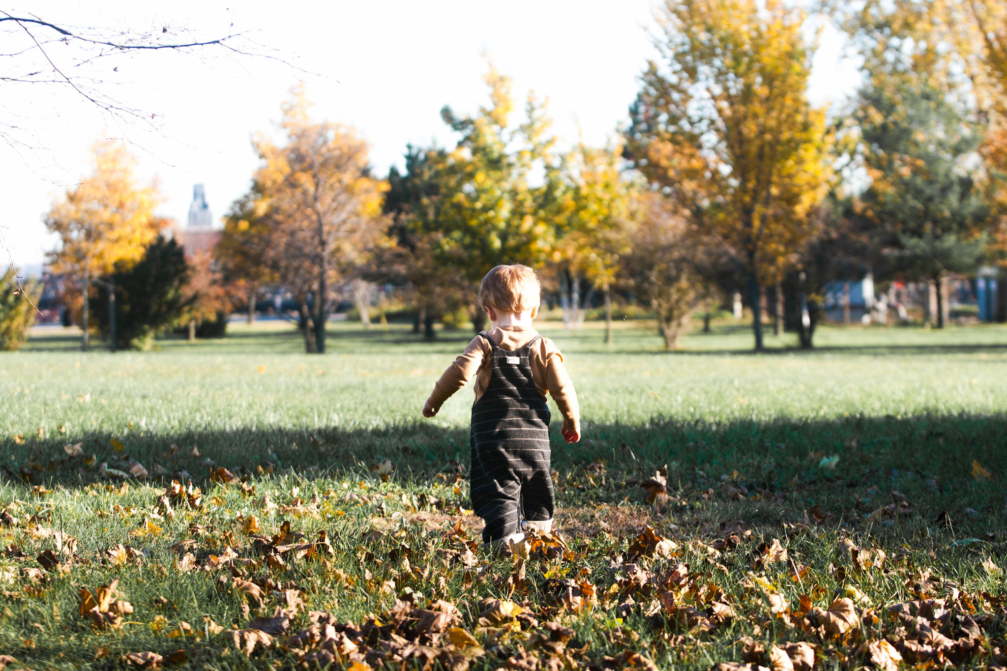 3 Fun Fall Sensory Activities for Toddlers