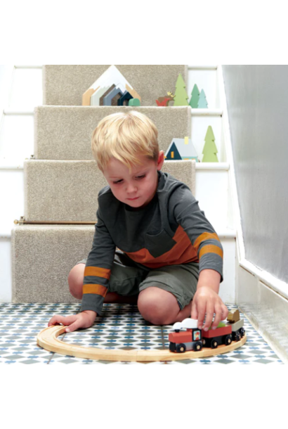 Tender Leaf Toys - Treetops Train Set