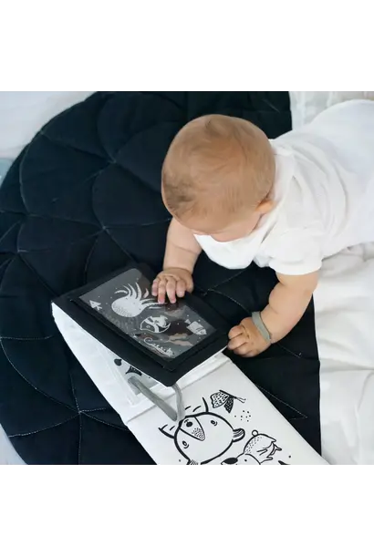 Wee Gallery - Tummy Time Gallery