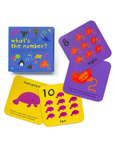 Worldwide Buddies Worldwide Buddies - What's the Number? Number Flashcards