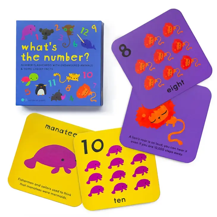 Worldwide Buddies Worldwide Buddies - What's the Number? Number Flashcards