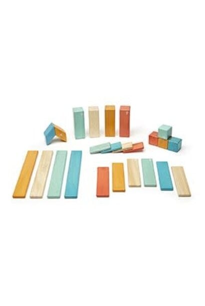 Tegu 24-Piece Set