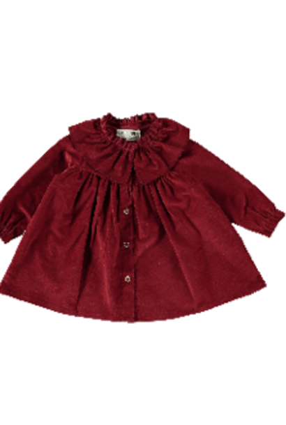 Petit Indi - L/S Dress w/ Ruffled Collar