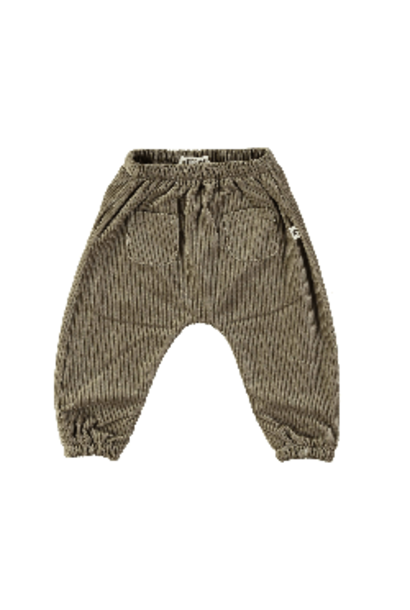 Petit Indi - Corduroy Pants