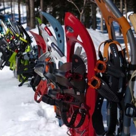 Snowshoes