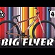 Se Bikes Big Flyer 29 Striped