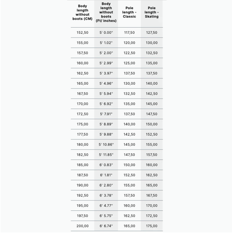 Swix Focus Nordic Alu