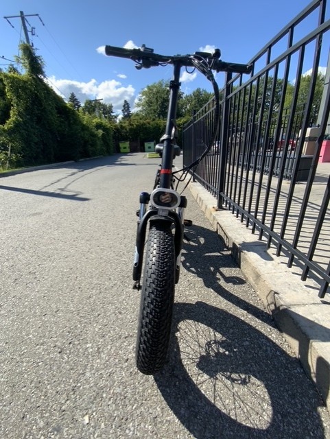 DCO Real Fat E-mini electrique PLIANT