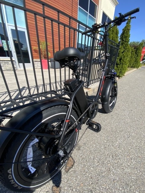 DCO Real Fat E-mini electrique PLIANT