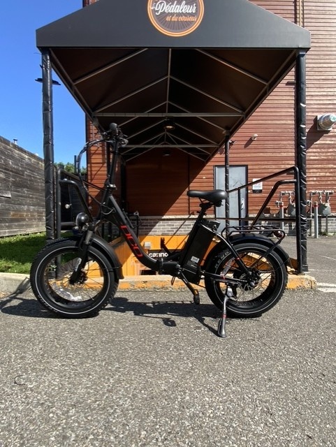 DCO Real Fat E-mini electrique PLIANT