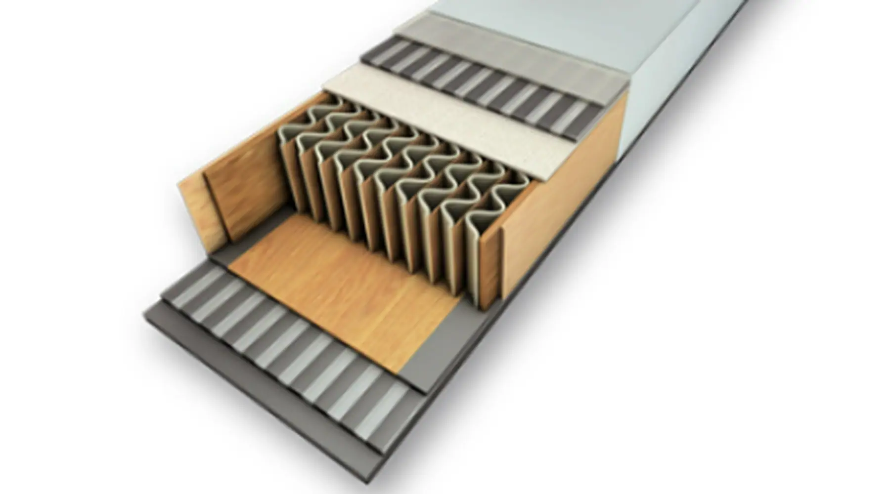 Fischer RCS Skate Cold STIFF IFP