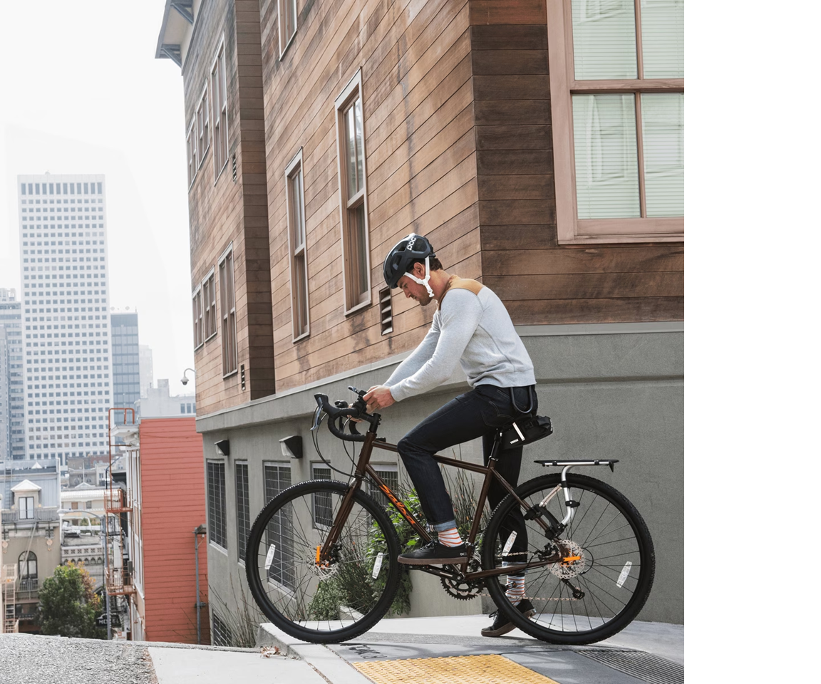 Thule Smartphone Bike Mount