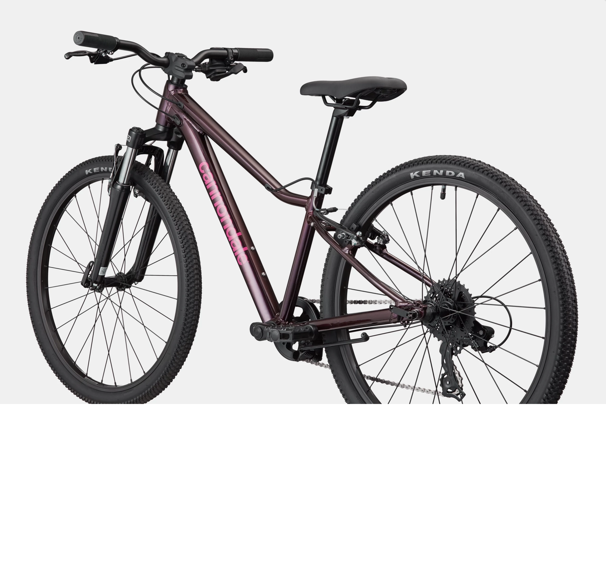 Cannondale Kids Trail 24 C2
