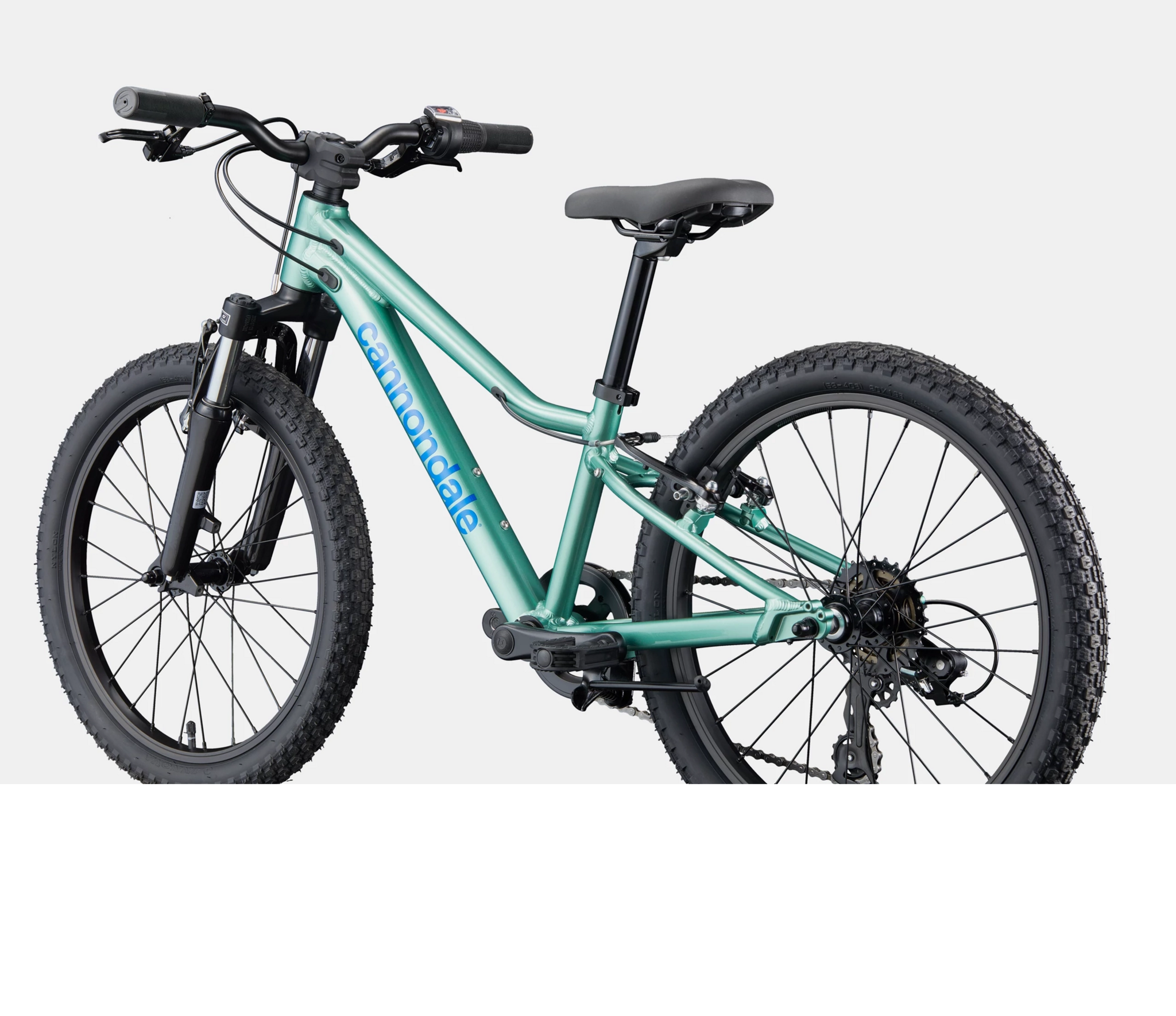 Cannondale Kids Trail 20 C2
