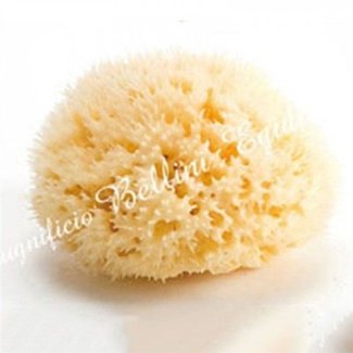 Bellini - Éponge de Mer Naturelle Honeycomb, Moyenne