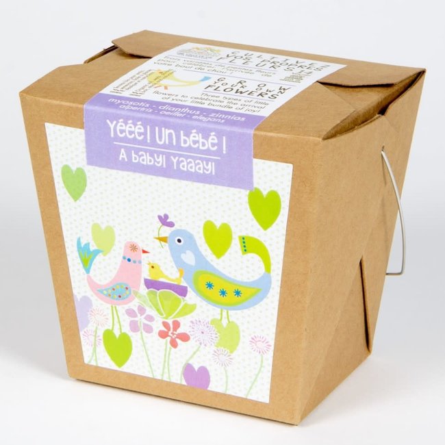 Mano Verde Wishes Box Garden Baby Charlotte Et Charlie