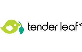 Tender Leaf Toys