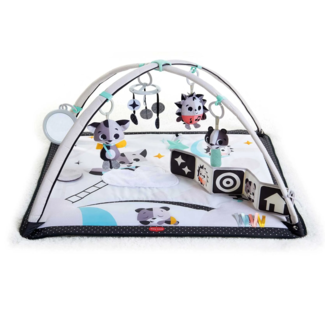 Tiny Love Tiny Love - Magical Tales Gymini Activity Gym, Black and White