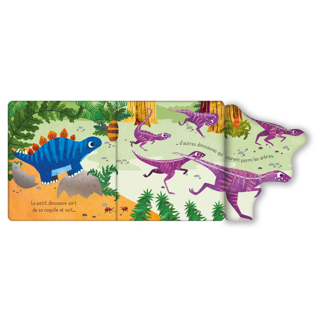 Usborne Flap Book, Le Dinosaure Charlotte et Charlie