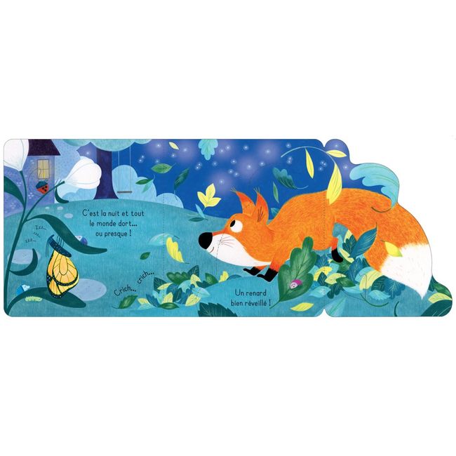 Usborne Flap Book, Le Renard Charlotte et Charlie