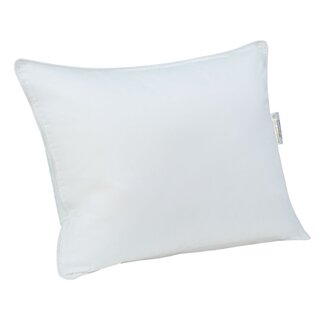 Charlotte et Charlie C&C - Synthetic Silk Pillow for Little Ones, 13 x 17"